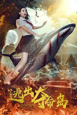 不卡视频在线